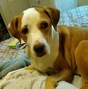 Meet your Posher, Liz